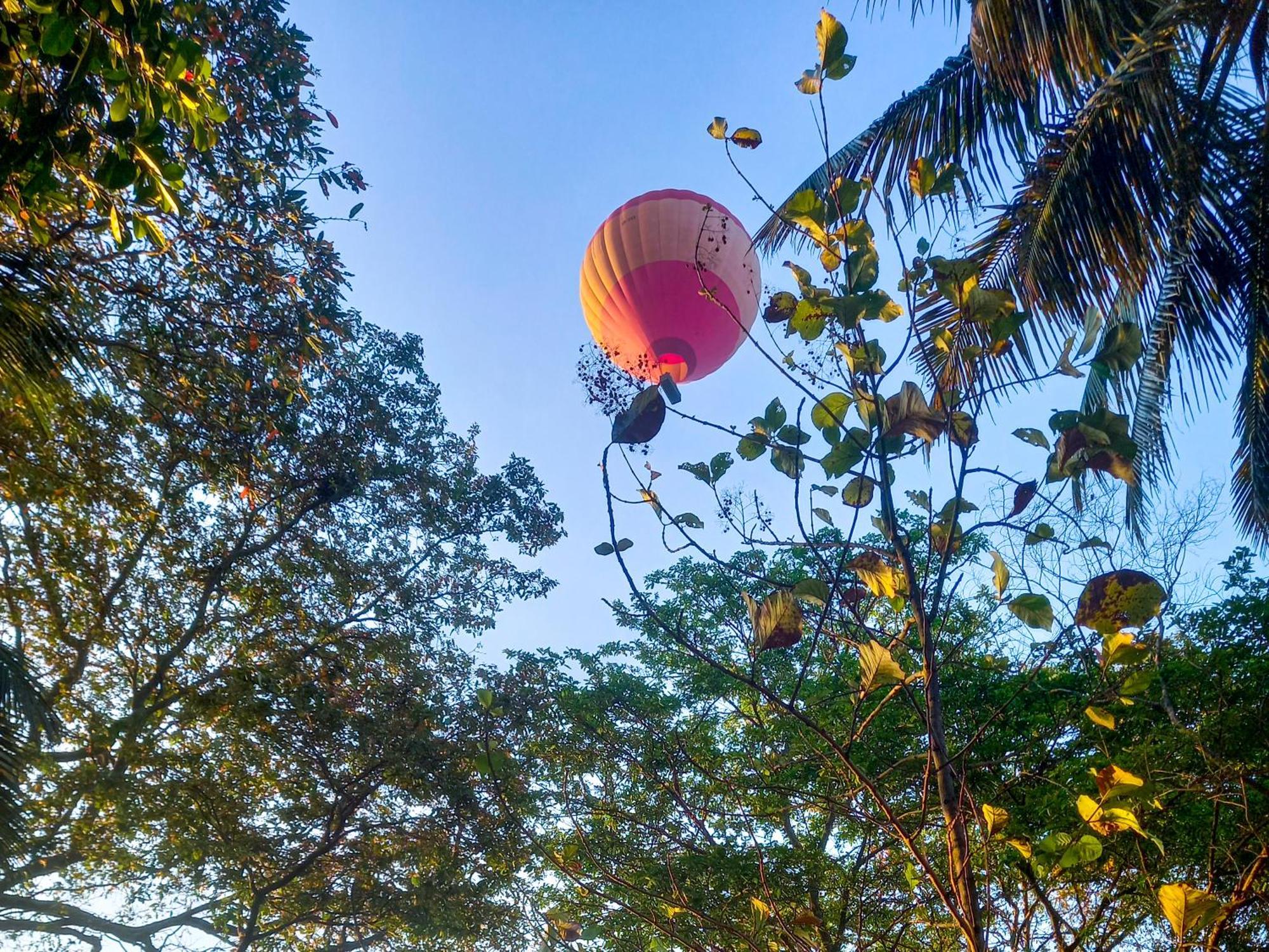 Nature Lotus Villa ดัมบูลลา ภายนอก รูปภาพ