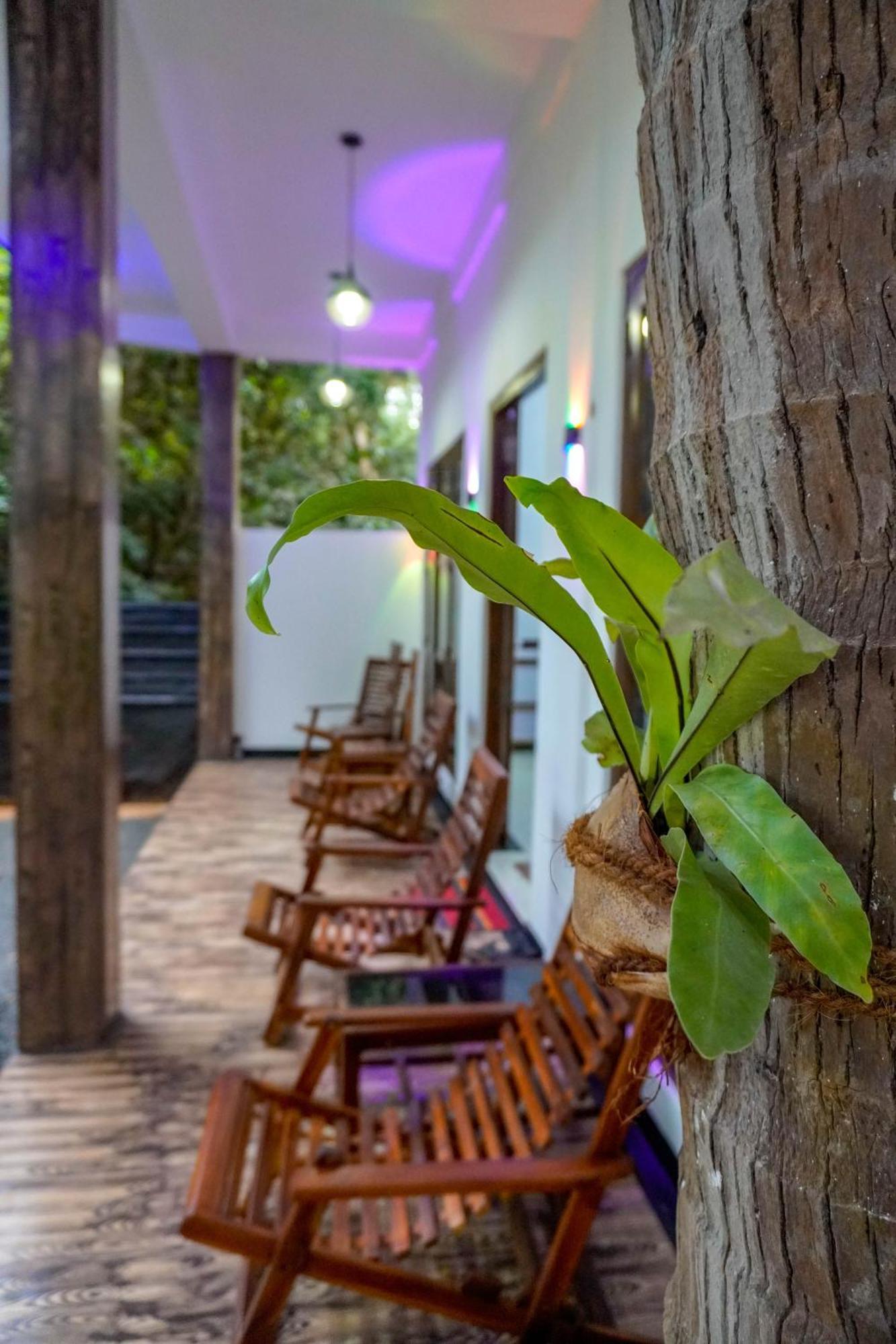 Nature Lotus Villa ดัมบูลลา ภายนอก รูปภาพ