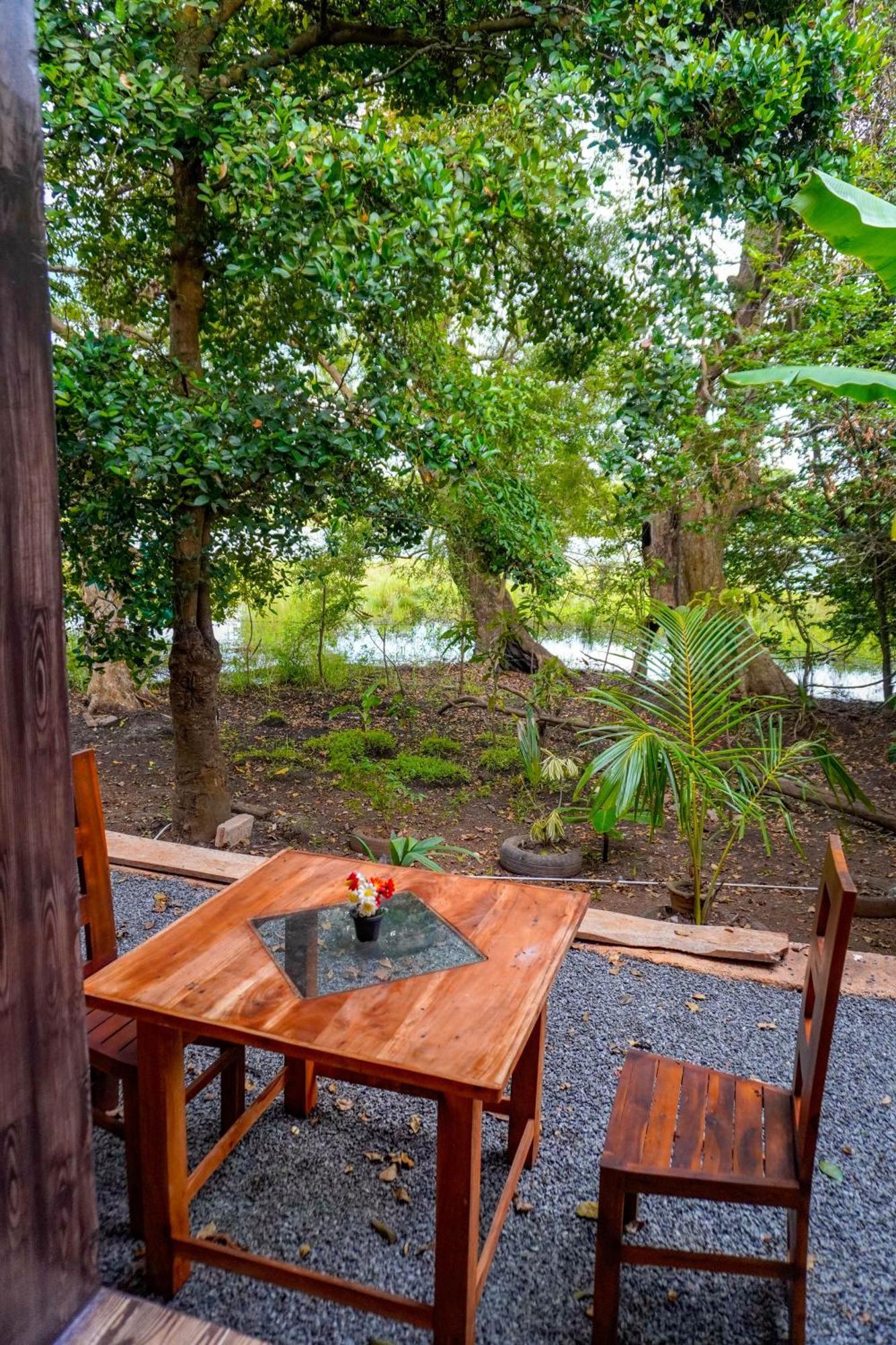 Nature Lotus Villa ดัมบูลลา ภายนอก รูปภาพ