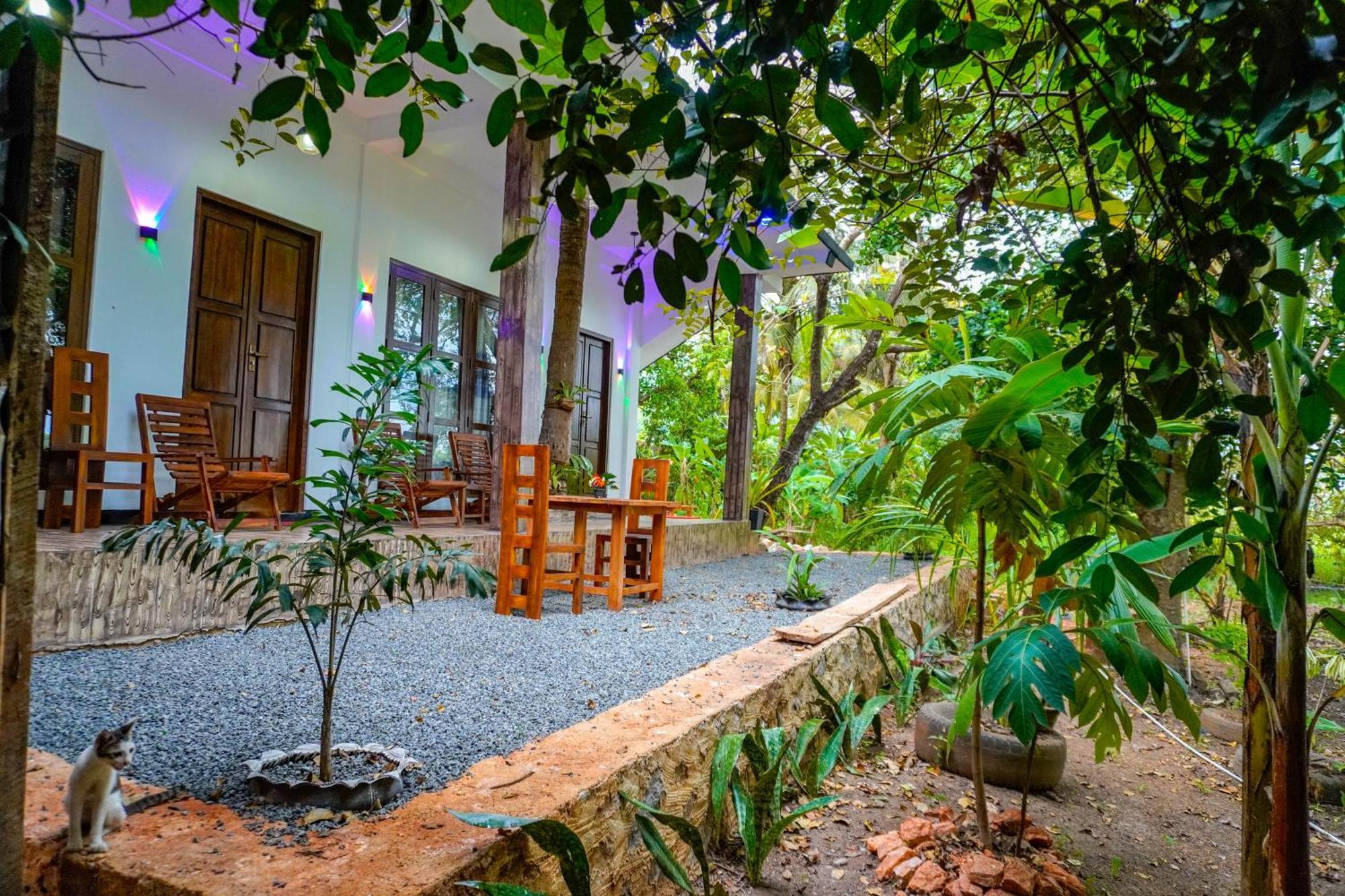 Nature Lotus Villa ดัมบูลลา ภายนอก รูปภาพ