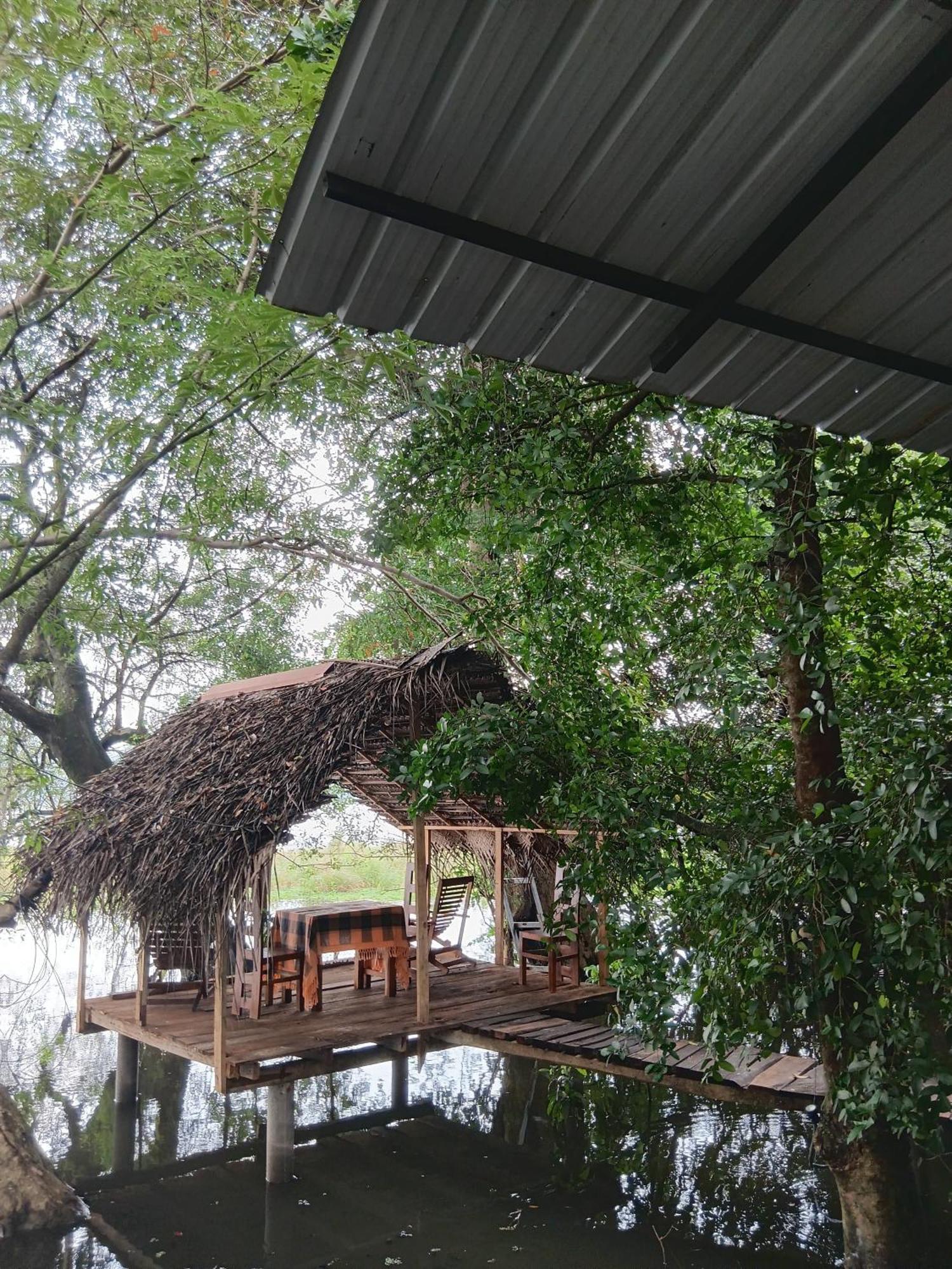 Nature Lotus Villa ดัมบูลลา ภายนอก รูปภาพ